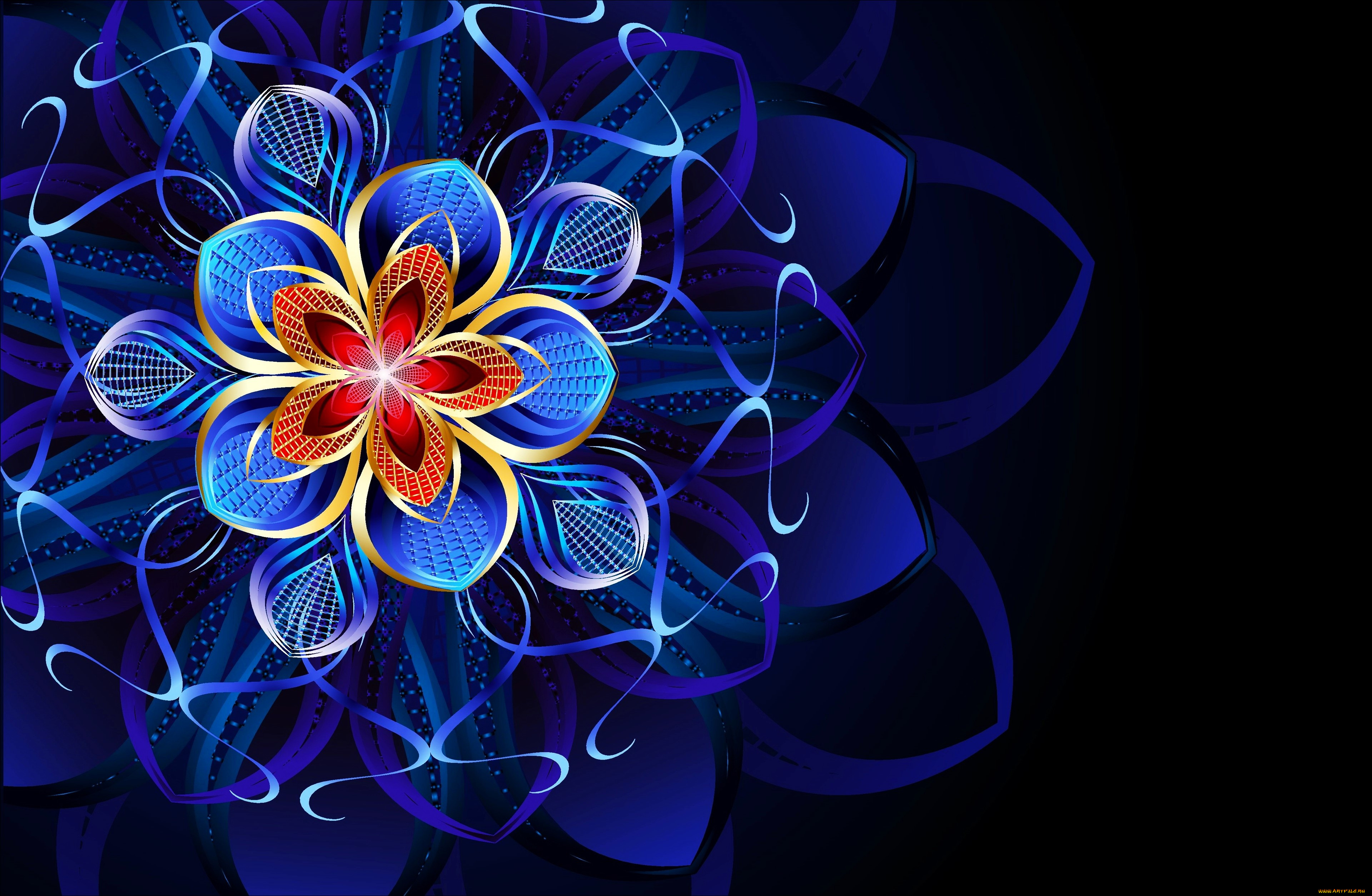 3 ,  , flowers, 